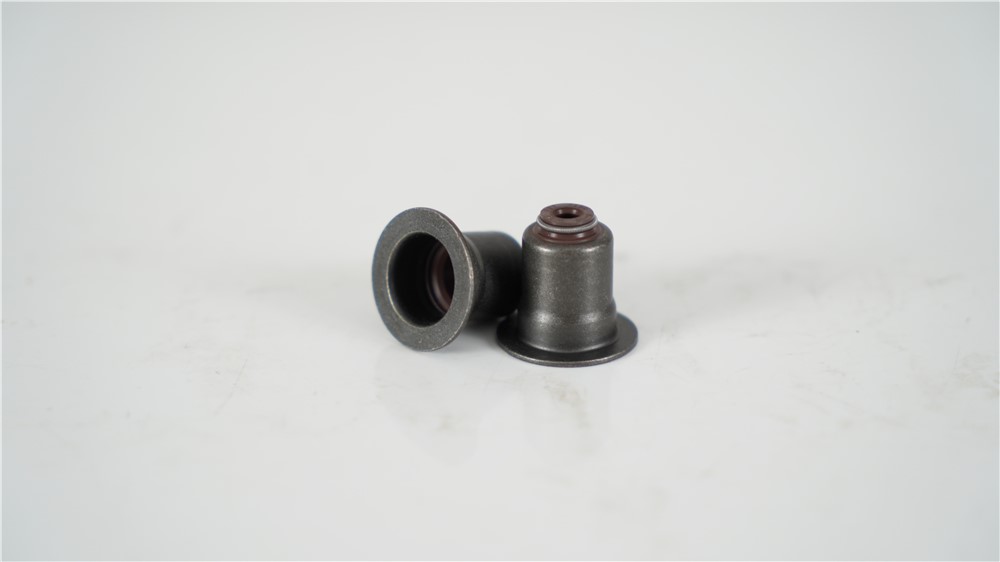 bmw-n20-n52-n54-n55-b58-valve-oil-seal-11340038719-8