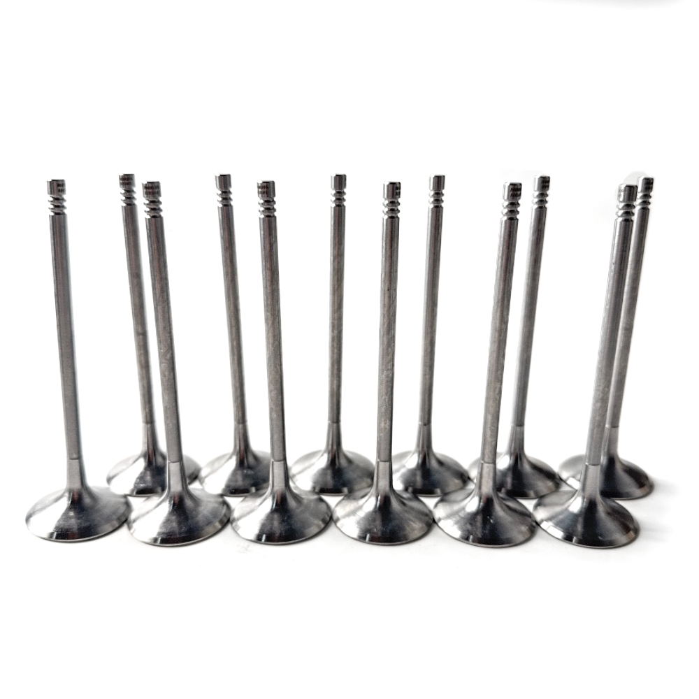 válvula de admisión nueva y antigua de General Motors para BMW N52B25 (11347539919-25)