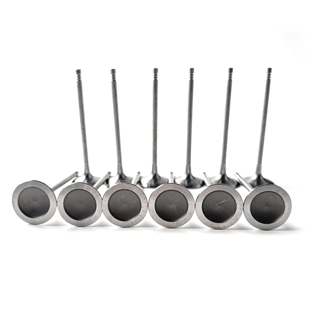válvula de admisión nueva y antigua de General Motors para BMW N52B25 (11347539919-27)