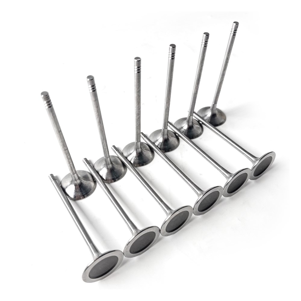 válvula de admisión nueva y antigua de General Motors para BMW N52B25 (11347539919-29)