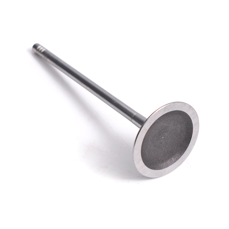 válvula de admisión BMW N52B30-11347553771-14