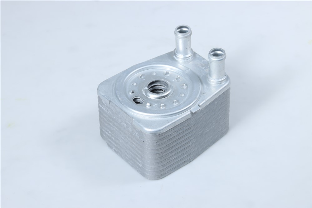 bora-diesel-1.9-oil-cooler-038117021a-8