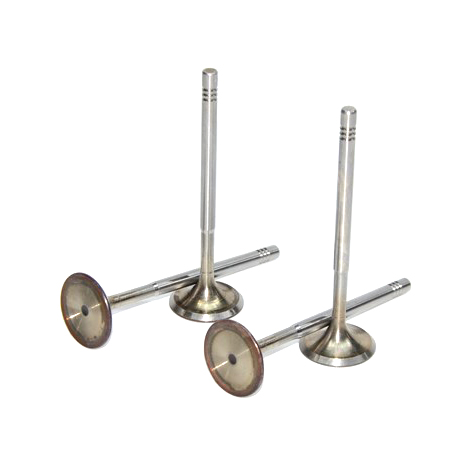 ea111-1.4t-1.6-intake-valve-03c109601j-10
