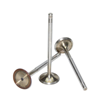 ea111-1.4t-1.6-intake-valve-03c109601j-4