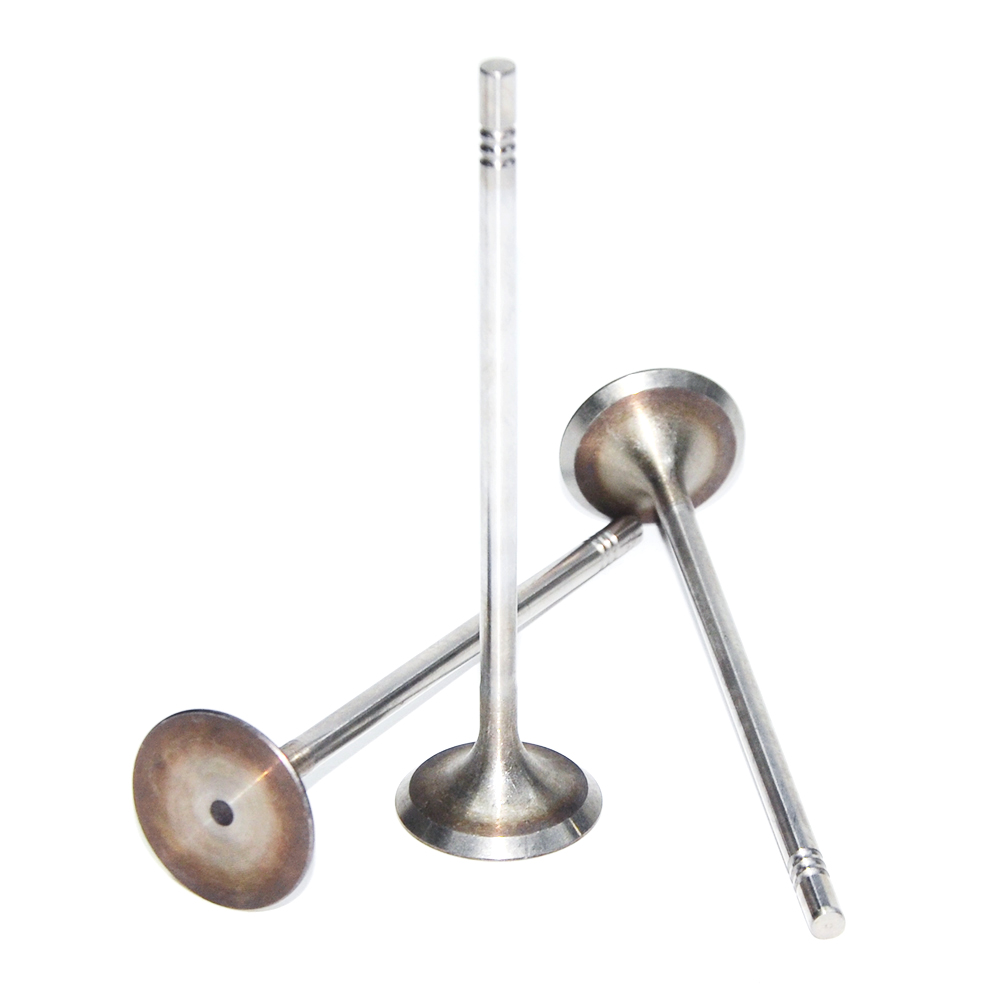ea2111.6-intake-valve-04e109601j-36