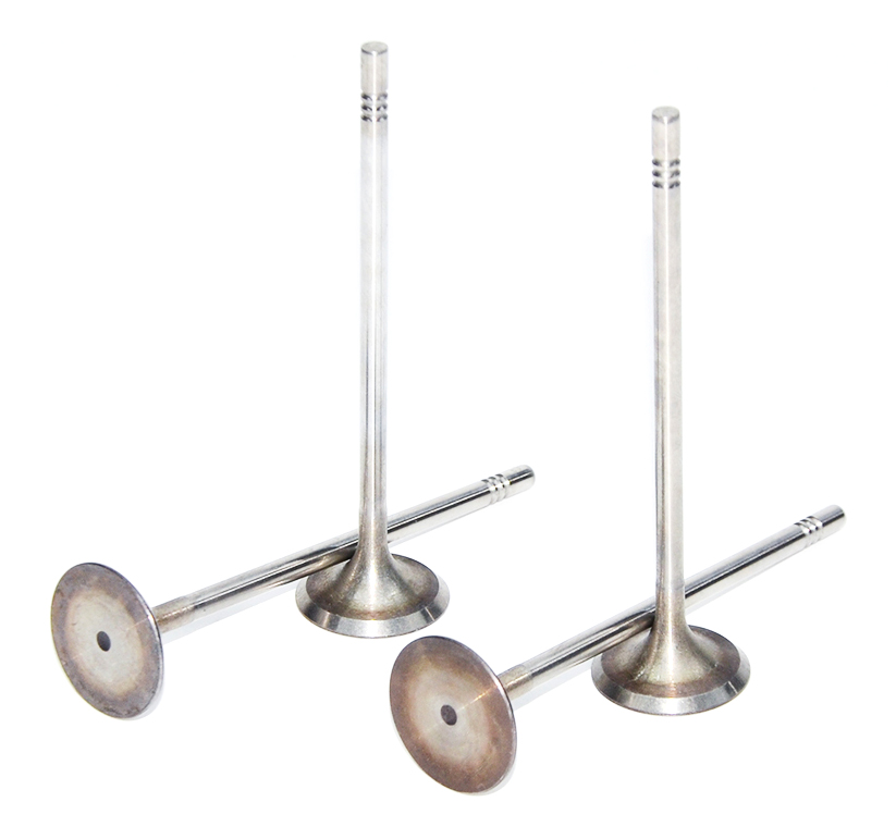 ea2111.6-intake-valve-04e109601j-38