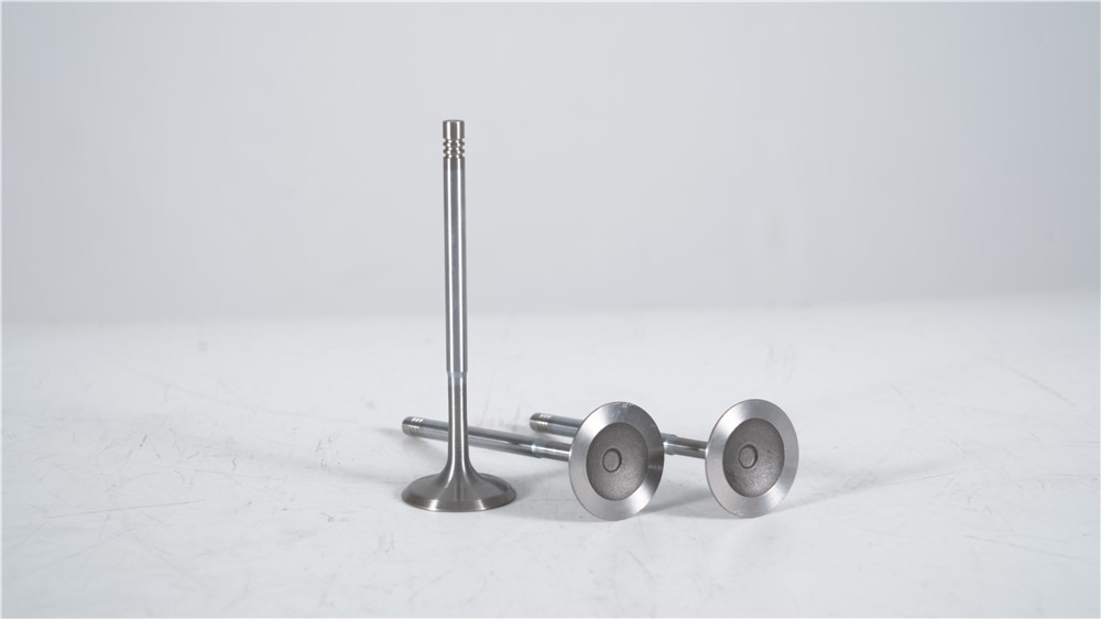 ea888-low-power-intake-valve-06l109601g-10