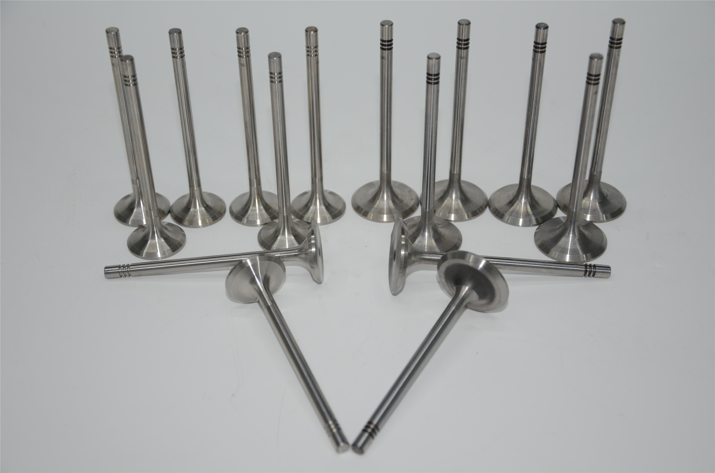 gol-saveiro-exhaust-valve-032109611l-2