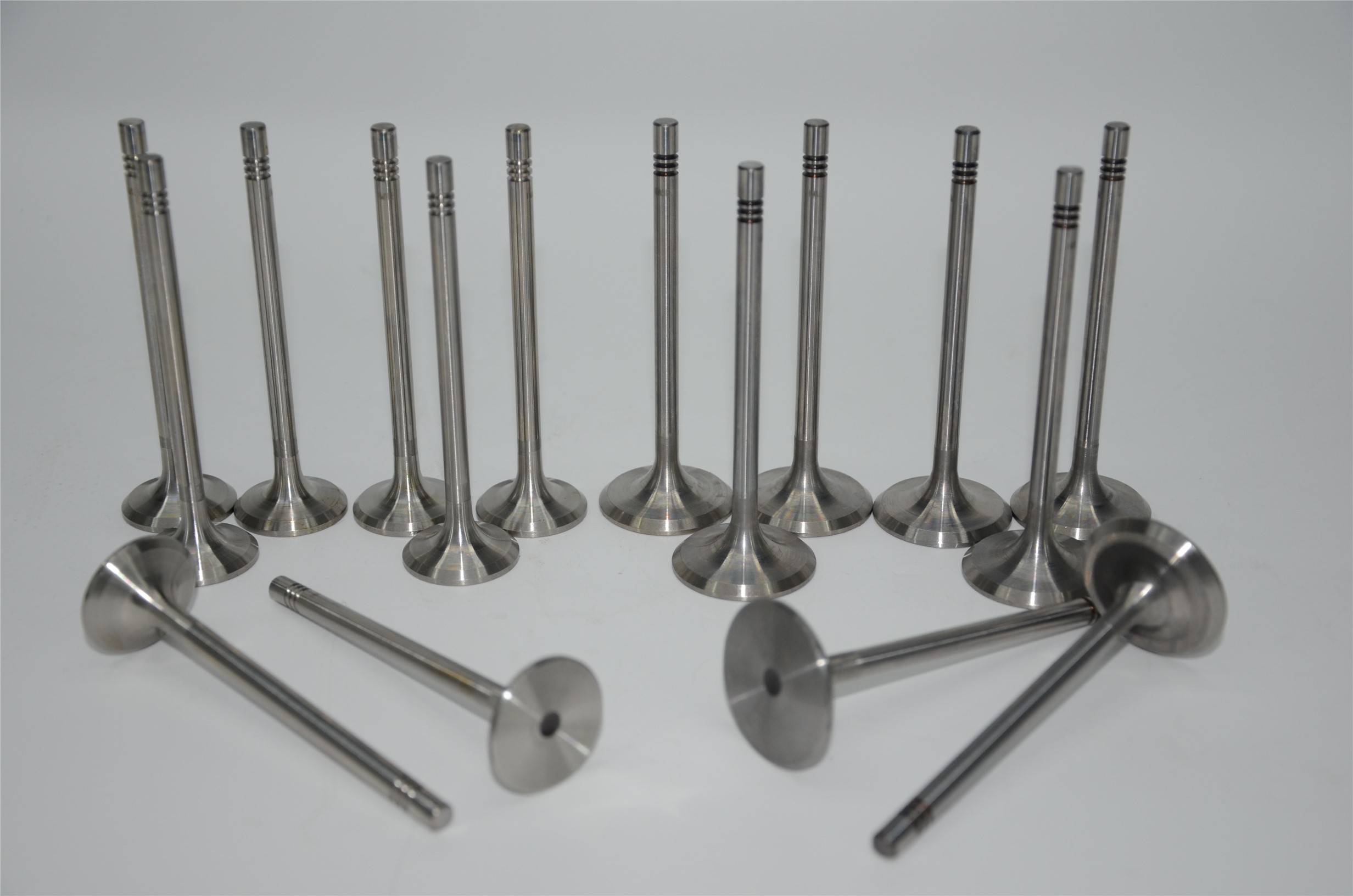 gol-saveiro-exhaust-valve-032109611l-4