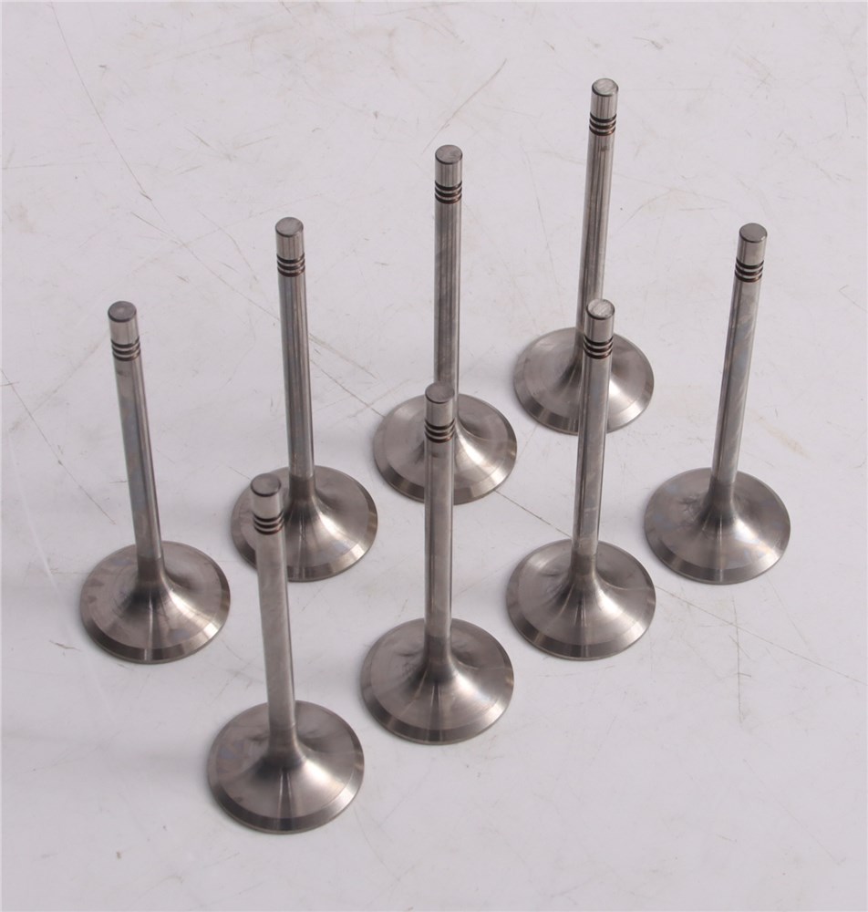 gol-saveiro-intake-valve-032109601m-10