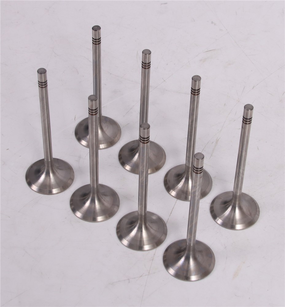 gol-saveiro-intake-valve-032109601m-12