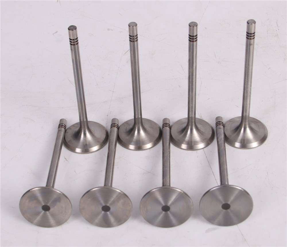 gol-saveiro-intake-valve-032109601m-14