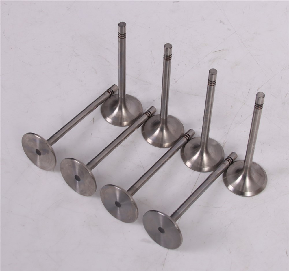 gol-saveiro-intake-valve-032109601m-16