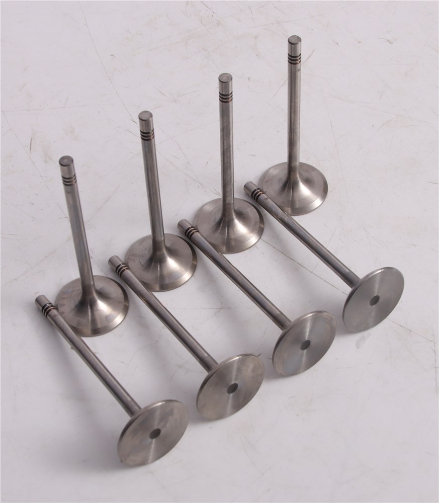 gol-saveiro-intake-valve-032109601m-18