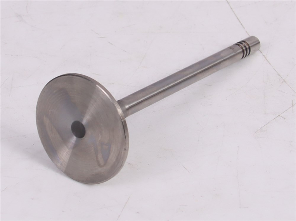 gol-saveiro-intake-valve-032109601m-22