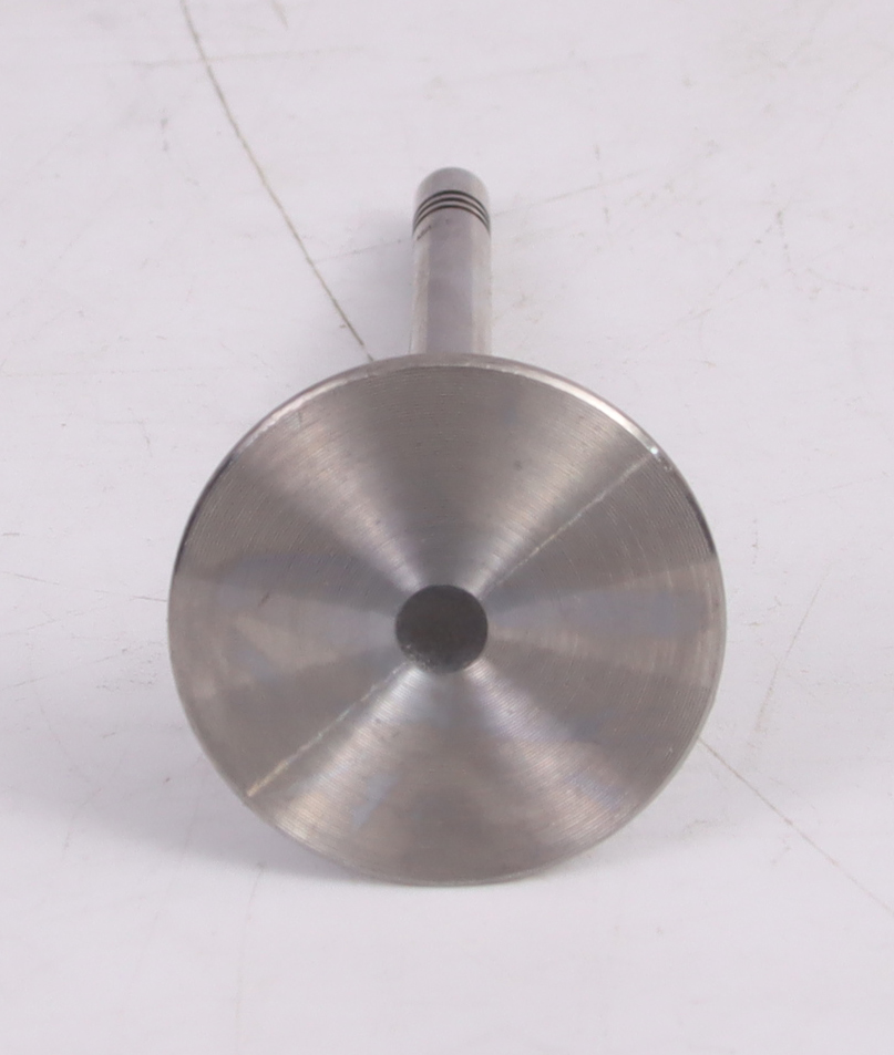 gol-saveiro-intake-valve-032109601m-24