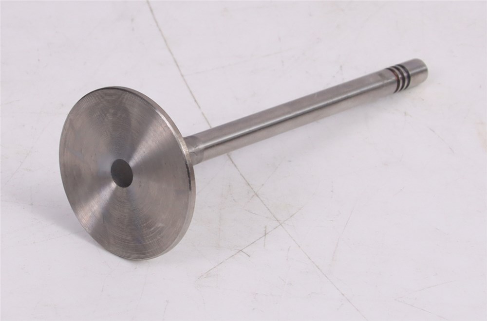 gol-saveiro-intake-valve-032109601m-26