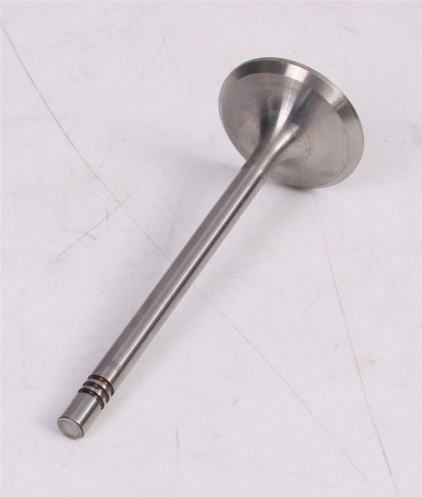 gol-saveiro-intake-valve-032109601m-28