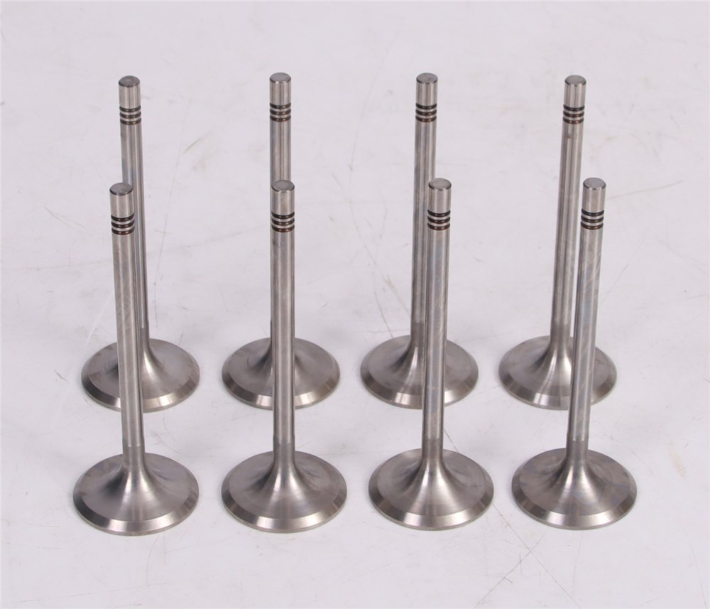 gol-saveiro-intake-valve-032109601m-8