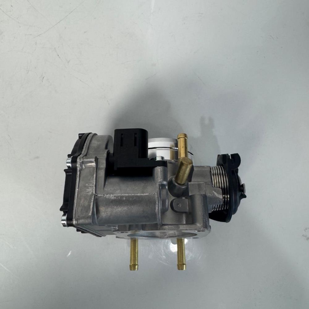 corpo-borboleta-de-golfe-037133064d-10