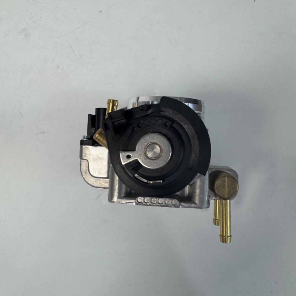 corpo-borboleta-de-golfe-037133064d-12
