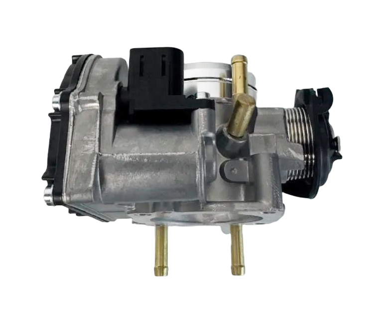 corpo-borboleta-de-golfe-037133064d-14