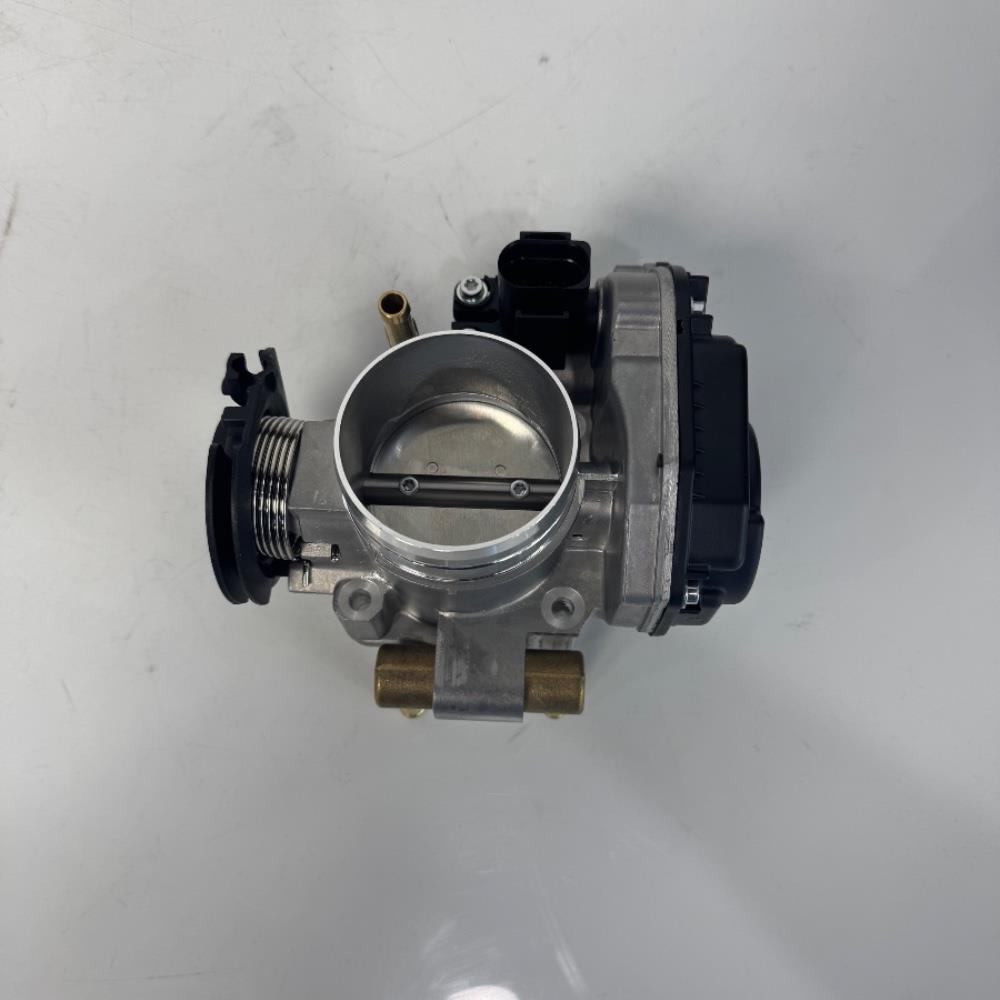 corpo-de-borboleta-de-golfe-037133064d-2