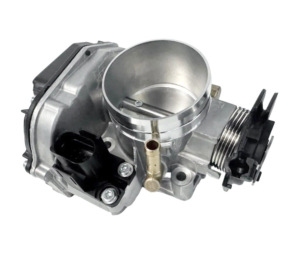 corpo-borboleta-de-golfe-037133064d-22