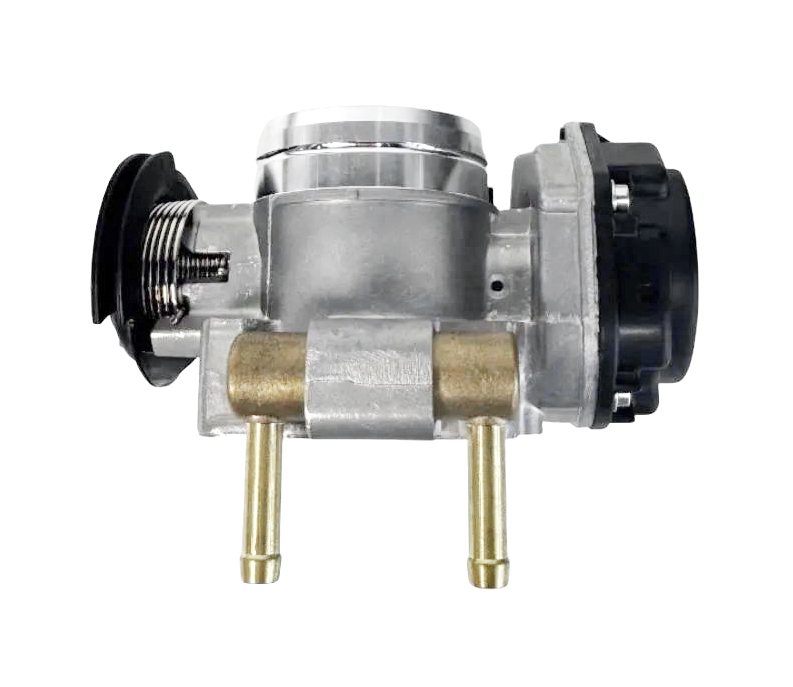 corpo-borboleta-de-golfe-037133064d-24