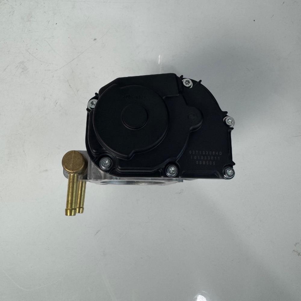 corpo-borboleta-de-golfe-037133064d-8