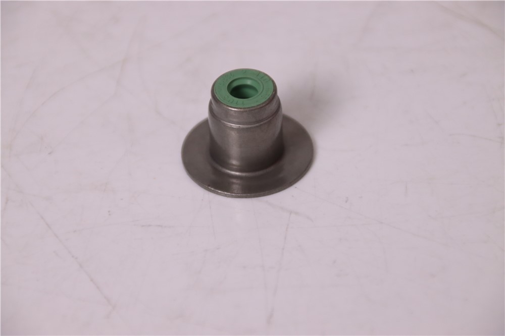 Land Rover 2.0T gasolina nuevo AJ200 PT204 válvula retén de aceite LR091757-10