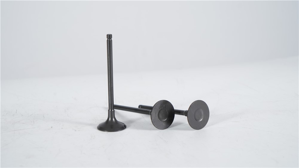 land-rover-5.0-gasoline-508pn-exhaust-valve-lr055528-16