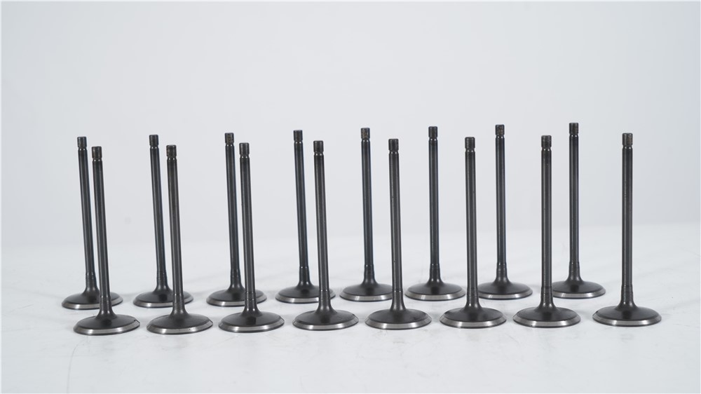 land-rover-5.0-gasoline-508pn-intake-valve-lr010699-10