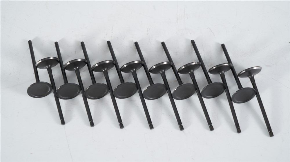 land-rover-5.0-gasoline-508pn-intake-valve-lr010699-12