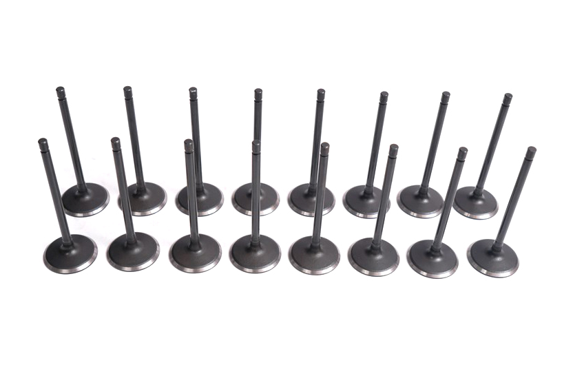 land-rover-5.0-gasoline-508pn-intake-valve-lr010699-20