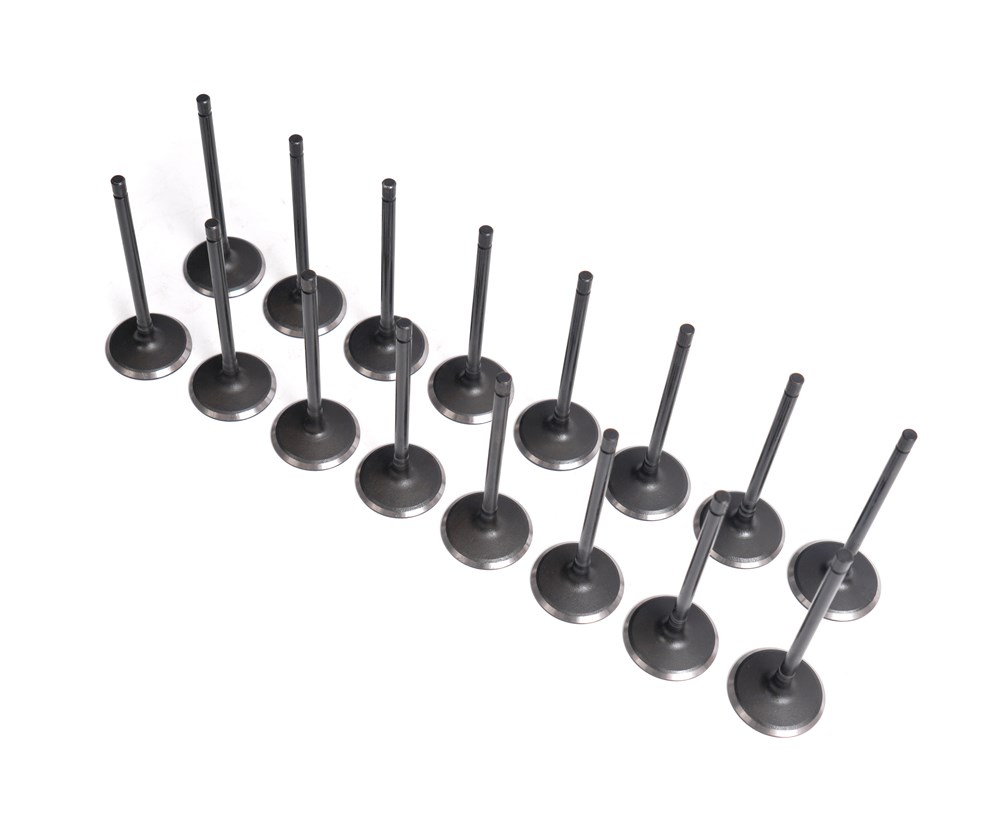 land-rover-5.0-gasoline-508pn-intake-valve-lr010699-22