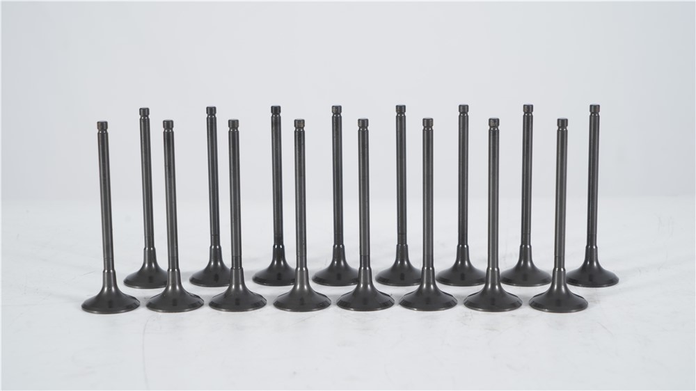 land-rover-5.0t-gasoline-508ps-exhaust-valve-lr055528-4