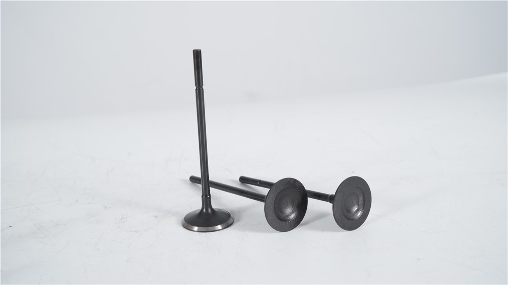 land-rover-5.0t-gasoline-508ps-intake-valve-lr010863-10