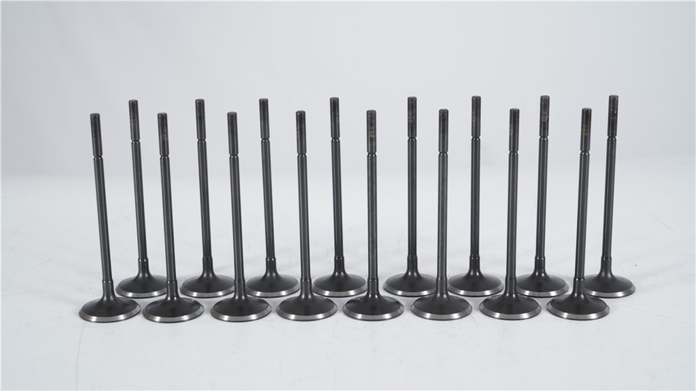 land-rover-5.0t-gasoline-508ps-intake-valve-lr010863-4