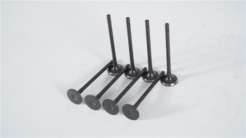lr-2.0t-diesel-new-aj200-exhaust-valve-lr073779-gn-11