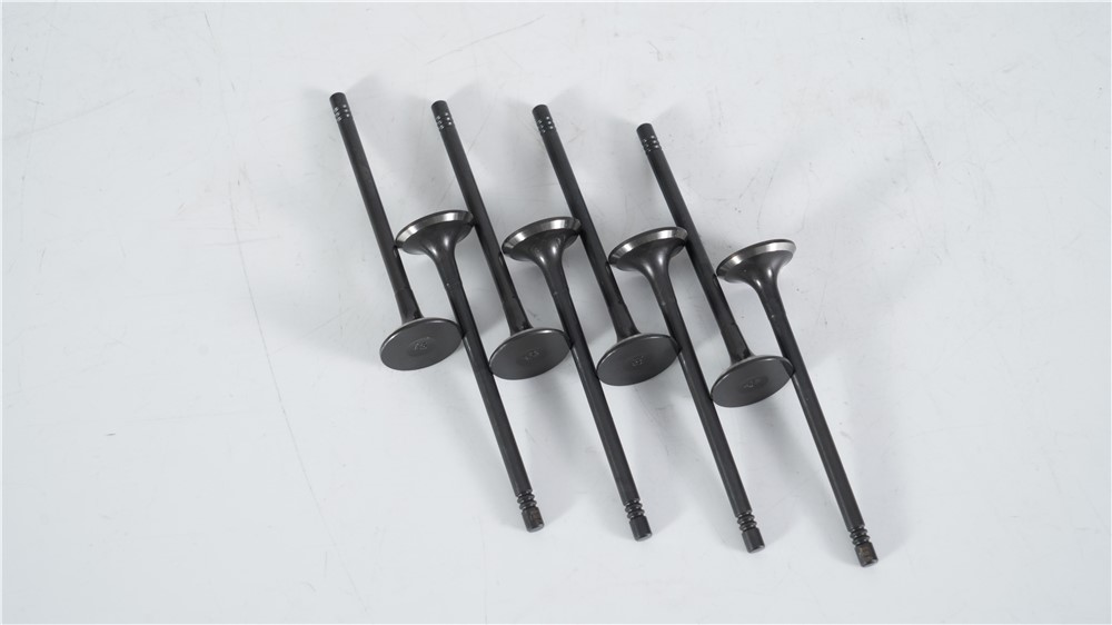 lr-2.0t-diesel-new-aj200-exhaust-valve-lr073779-gn-13