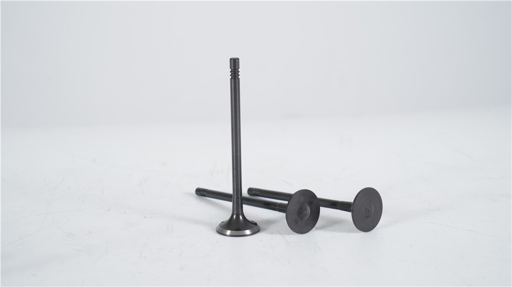 lr-2.0t-diesel-new-aj200-exhaust-valve-lr073779-gn-15
