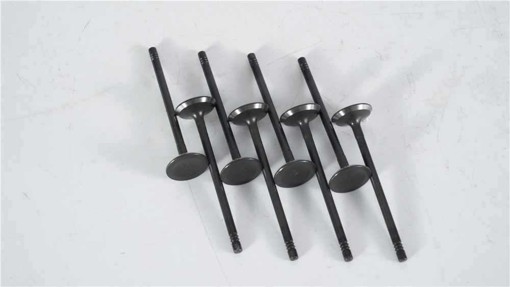 lr-2.0t-diesel-new-aj200-intake-valve-lr073780-gn-13