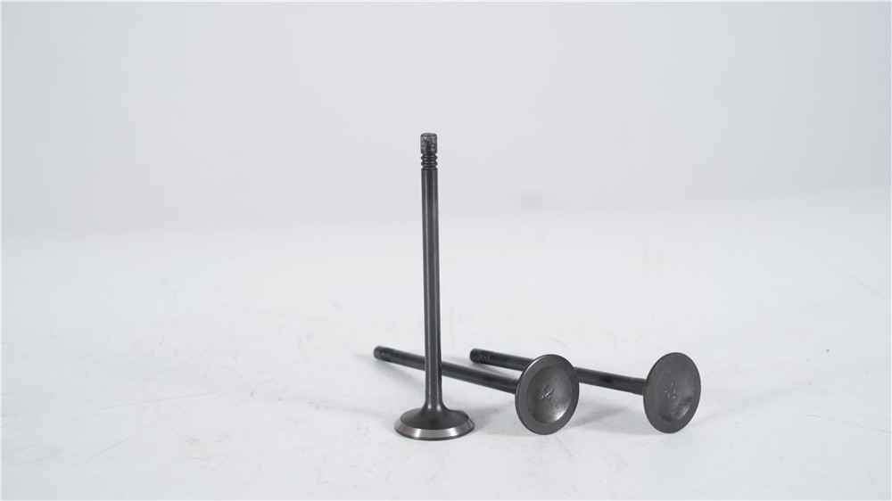 lr-2.0t-diesel-new-aj200-intake-valve-lr073780-gn-15