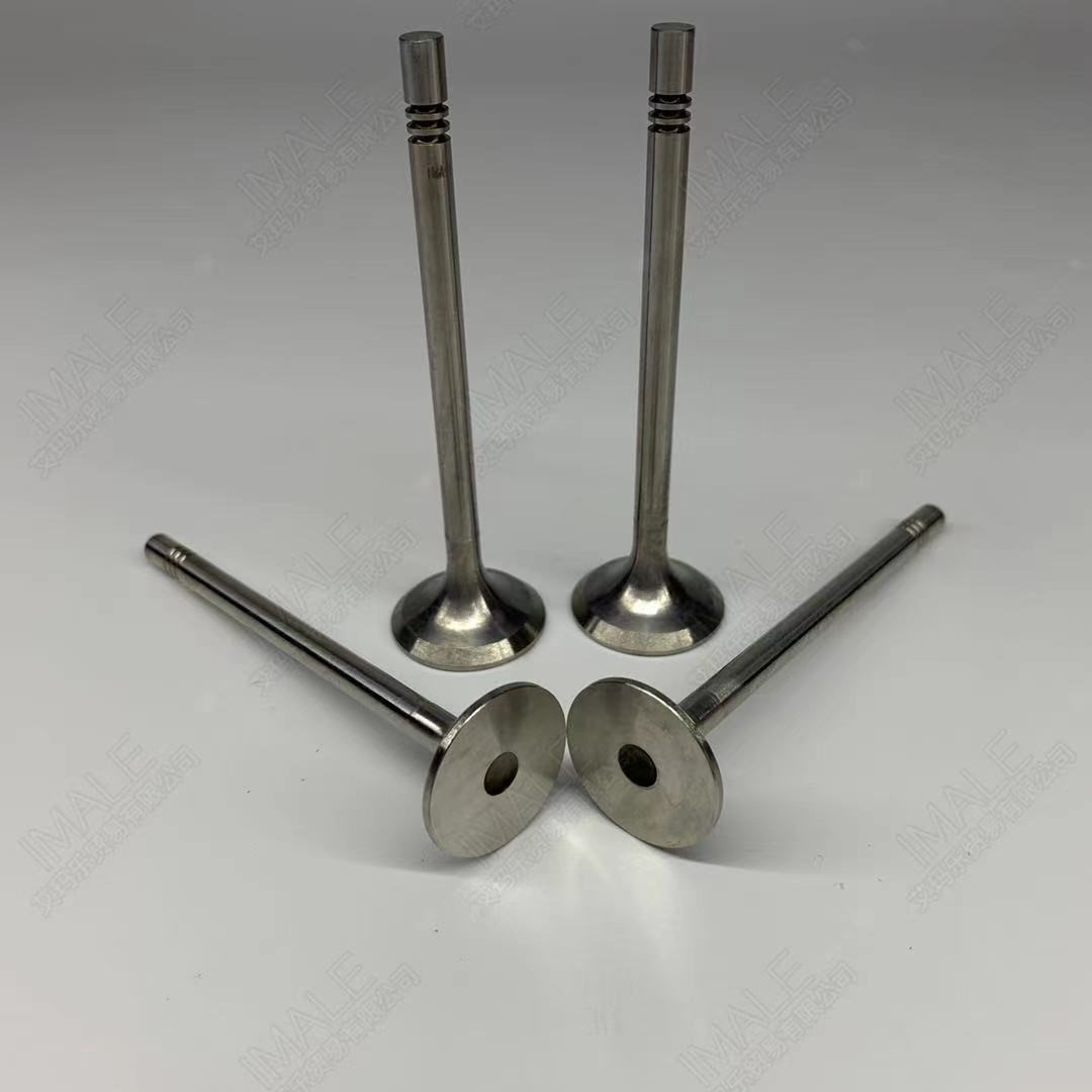 metway-beetle-diesel-2.0t-exhaust-valve-03l109611