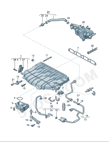 mt-cc-q5-gasket-06f129717d-2