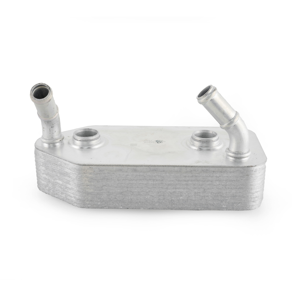 old-bora-beetle-1.6-oil-cooler-096409061f-22