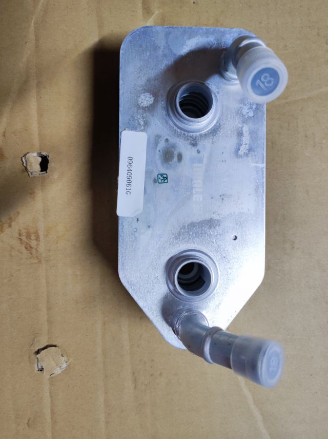 old-bora-beetle-1.6-oil-cooler-096409061f