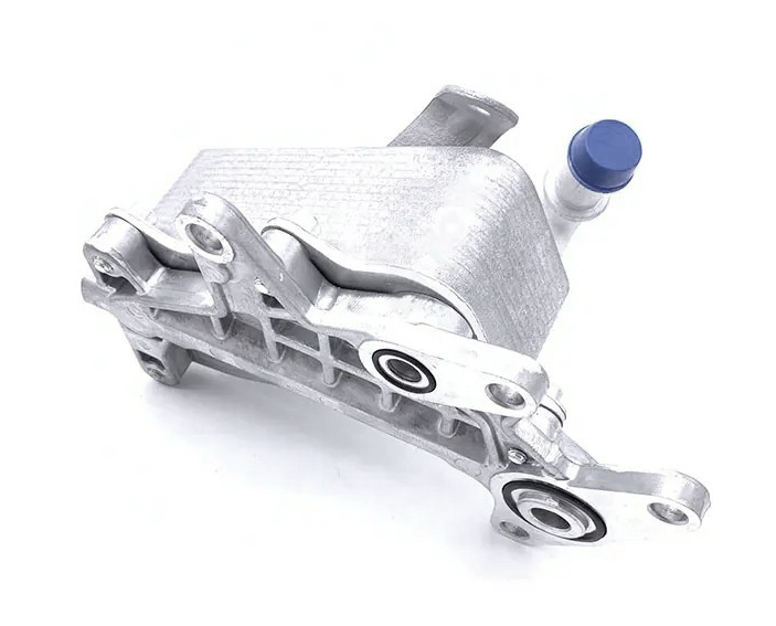 polo-passion-new-polopolo-passion-new-polopolo-passion-new-polo-oil-cooler-09g409061d-10