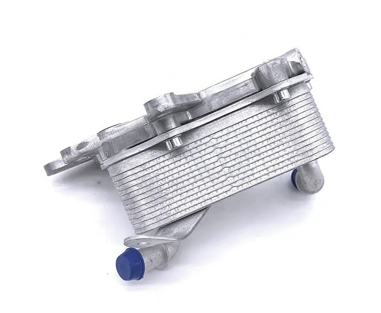 polo-passion-new-polopolo-passion-new-polopolo-passion-new-polo-oil-cooler-09g409061d-6